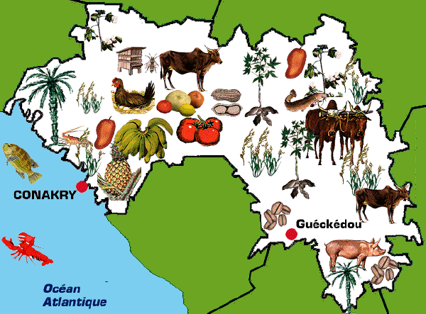 Offre d'emploi - MISSIONS COURT TERME : PROJET D’APPUI AU SECTEUR AGRICOLE EN GUINÉE – PASAG